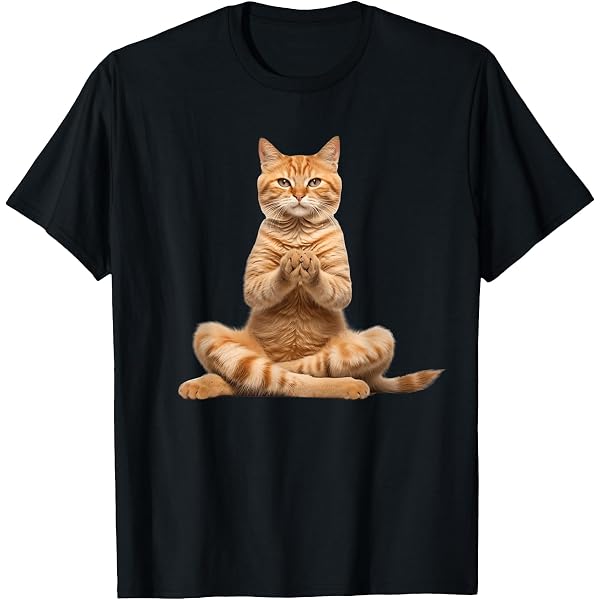 kittenページ Amazon.com: Cute Cat - Kitten Torn Cloth Funny Orange Cat Owner